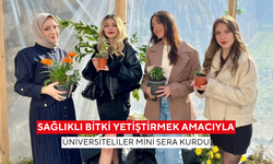 Üniversiteliler mini sera kurdu