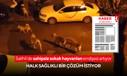 Salihli Halkı Sahipsiz Sokak Hayvanları Sorununa Sağlıklı Bir Çözüm İstiyor