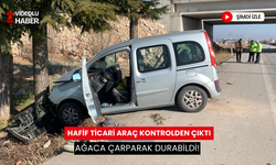 Hafif ticari araç kontrolden çıktı, ağaca çarparak durabildi!