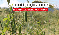 Salihlili çiftçiler dikkat ! 61 mahallede askıya çıkıyor