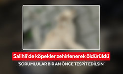 Acı olay… Salihli’de köpekler zehirlenerek öldürüldü