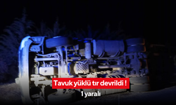 Tavuk yüklü tır devrildi ! 1 yaralı