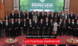 Manisa'da Üzüm için yol haritası belirlendi