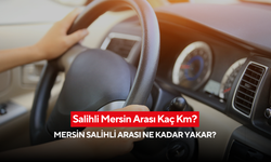 Salihli Mersin Arası Kaç Km? Mersin Salihli Arası Ne Kadar Yakar?