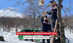 Jandarmadan yaban kuşları için yuva ve yem desteği