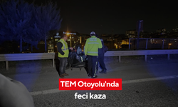 TEM Otoyolu'nda feci kaza