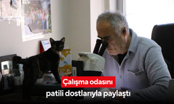 Çalışma odasını patili dostlarıyla paylaştı