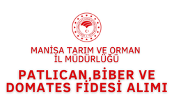 PATLICAN,BİBER VE DOMATES FİDESİ SATIN ALINACAKTIR