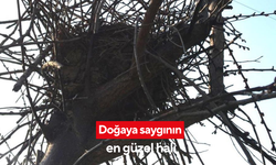 Doğaya saygının en güzel hali