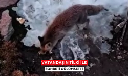 Vatandaşın tilki ile sohbeti gülümsetti: O anları kameraya aldı