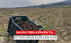 Salihli’den Avrupa’ya… 50 ton ürün elde ediliyor