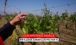 Don afetinde sadece bir ilçede zarar 2,25 milyar TL