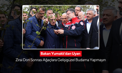 Zirai don uyarısı! Bakan Yumaklı, bilinçsiz budamaya karşı uyardı