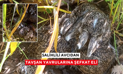 Salihlili avcıdan tavşan yavrularına şefkat eli