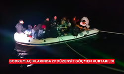 Bodrum açıklarında 29 düzensiz göçmen kurtarıldı