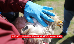 "Midas" 1100 gün sonra yeniden yakalandı