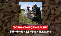 Çiftçi servet hasat ediyor! 1 dönümden 2,5 milyon TL kazanç...