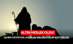 Altın meslek oldu! 60 bin yetmiyor, aylık 120 bin lira talep ediyorlar
