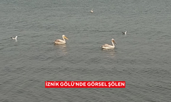 İznik Gölü'nde görsel şölen