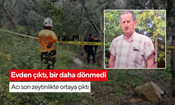 Emekli öğretmen evden çıktı, bir daha dönmedi…Zeytinlikte asılı halde bulundu