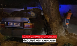 Ağaca çarpan otomobilin sürücüsü ağır yaralandı