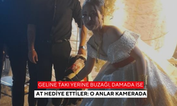Geline takı yerine buzağı, damada ise at hediye ettiler: O anlar kamerada