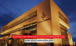 Sahipsiz hayvanlarla ilgili düzenleme için son sözü Anayasa Mahkemesi söyledi