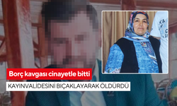 Borç kavgası cinayetle bitti: Kayınvalidesini bıçaklayarak öldürdü