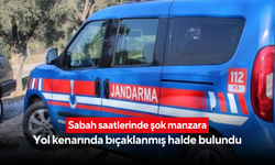 Sabah saatlerinde şok manzara: Yol kenarında bıçaklanmış halde bulundu