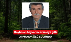 ‘Yoruldum, eve döneceğim’ dedi, dönemedi: Yaşlı adam ormanlık alanda ölü bulundu