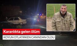 Karanlıkta gelen ölüm: Koyun otlatırken canından oldu