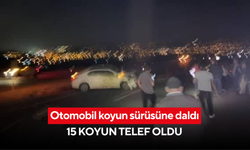 Yol kan gölüne döndü: Otomobil koyun sürüsüne daldı, 15 koyun telef oldu