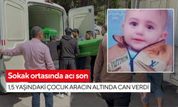 Otomobilini park etmeye çalışırken faciya neden oldu: 1,5 yaşındaki çocuk korkunç şekilde öldü