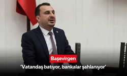 Başevirgen ‘Vatandaş batıyor, bankalar şahlanıyor’