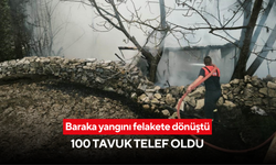 Baraka yangını felakete dönüştü: 100 tavuk telef oldu