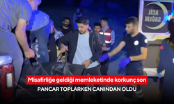 Misafirliğe geldiği memleketinde korkunç son: Pancar toplarken canından oldu