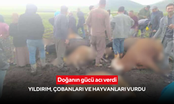 Doğanın gücü acı verdi: Sürüye yıldırım düştü, 10 hayvan telef oldu