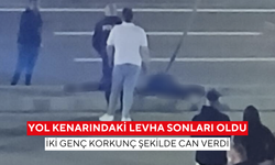Yol kenarındaki levha sonları oldu: İki genç korkunç şekilde can verdi