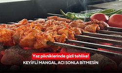 Piknikte tadınız kaçmasın: Tavuk etinde gizli tehlike! Uzmanlardan ‘Salmonella’ uyarısı