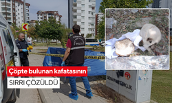 Polis 30 saat izledi, sır perdesi aralandı: 31 yıllık sır çöpte ortaya çıktı