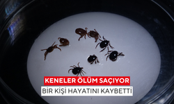 Kene ısırığı can aldı: Uzmanlar uyardı, risk büyük!