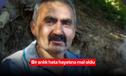 Kesmek istediği ağaç hayatına mal oldu: Orman işçisi feci şekilde can verdi