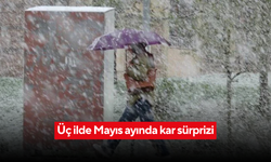 Üç ilde Mayıs ayında kar sürprizi