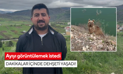 Ayıyı görüntülemek istedi, dakikalar içinde dehşeti yaşadı!