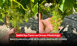 Salihli İlçe Tarım ve Orman Müdürlüğü ‘Bağcılara Külleme ve Ölükol Hastalığı’ uyarısı