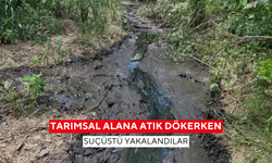 Gediz Nehri’ni kirletenlere suçüstü