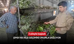 'Getirisi çok iyi! 150 bin TL gelir' 3 aileyle başladı, şimdi 150 aile geçimini onunla sağlıyor