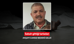 Sabah tarlaya, akşam morga: Yaşlı adam tarlada ölü bulundu
