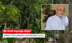Bir ömür toprağa düştü: Kiraz toplarken canından oldu