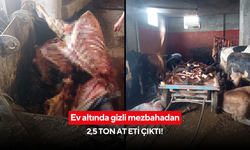 Ev altında gizli mezbahadan 2,5 ton at eti çıktı!